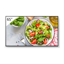 Sony FW-65BZ35L Pantalla Profesional 65 Pulgadas LCD 4K Ultra HD Wifi 24/7 para Señalización Digital