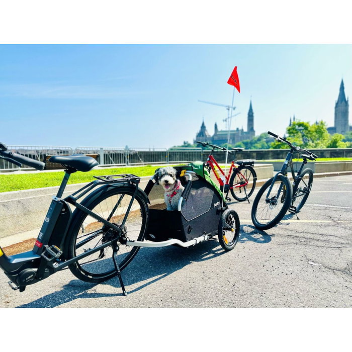 Burley Tail Wagon® Remolque para Mascotas Plegable, Cuadro Aluminio, Ruedas 16", Carga 34kg