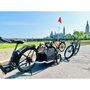 Burley Tail Wagon® Remolque para Mascotas Plegable, Cuadro Aluminio, Ruedas 16", Carga 34kg