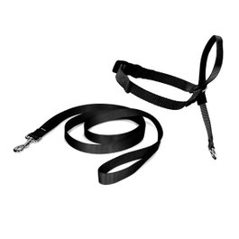 Petsafe Comedero Automático Negro Pequeño
