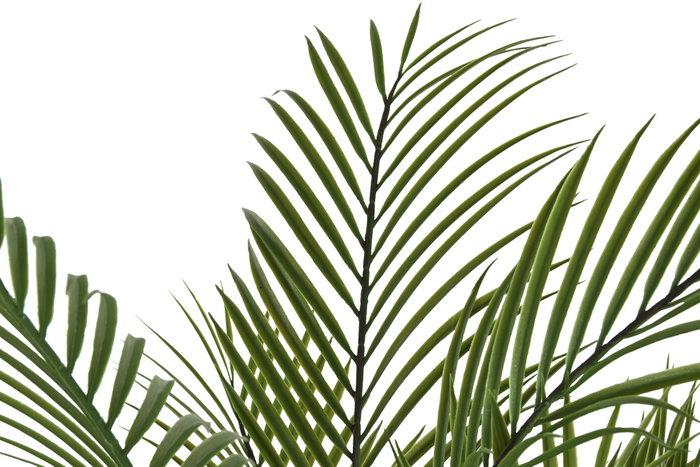 DKD Home Decor Kwai Palmera Verde