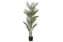 DKD Home Decor Kwai Palmera Verde