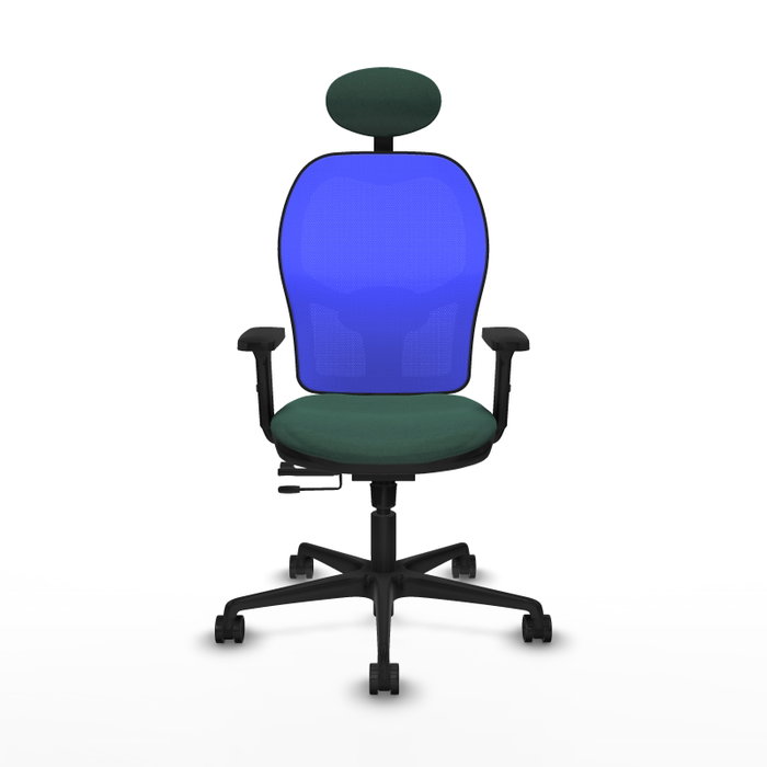 PIQUERAS Y CRESPO Silla de oficina Jorquera con mecanismo Sincro/Traslack, Verde botella y Azul PIQUERAS Y CRESPO Silla de oficina Jorquera con mecanismo Sincro/Traslack, Verde botella y Azul