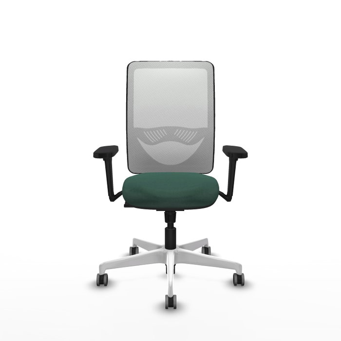 PIQUERAS Y CRESPO Silla de oficina Zulema con mecanismo Sincro Verde botella y Blanco PIQUERAS Y CRESPO Silla de oficina Zulema con mecanismo Sincro Verde botella y Blanco