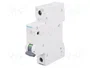 SIEMENS 5SL6101-7 Interruptor magnetotérmico 1A 1P Caract C