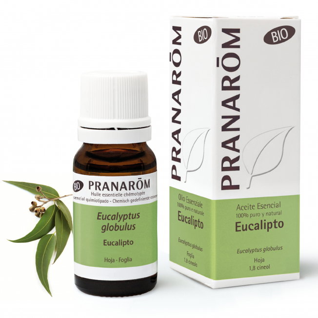PRANAROM Aceite esencial de Eucalipto hoja BIO 10ml PRANAROM Aceite esencial de Eucalipto hoja BIO 10ml