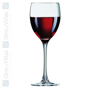 R. Signature Copa de Agua 24 cl (Set de 6) R. Signature Copa de Agua 24 cl (Set de 6)