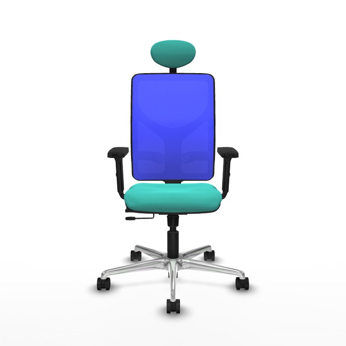 PIQUERAS Y CRESPO Silla de oficina Motilla con mecanismo Sincro/Traslack, Azul y Turquesa PIQUERAS Y CRESPO Silla de oficina Motilla con mecanismo Sincro/Traslack, Azul y Turquesa
