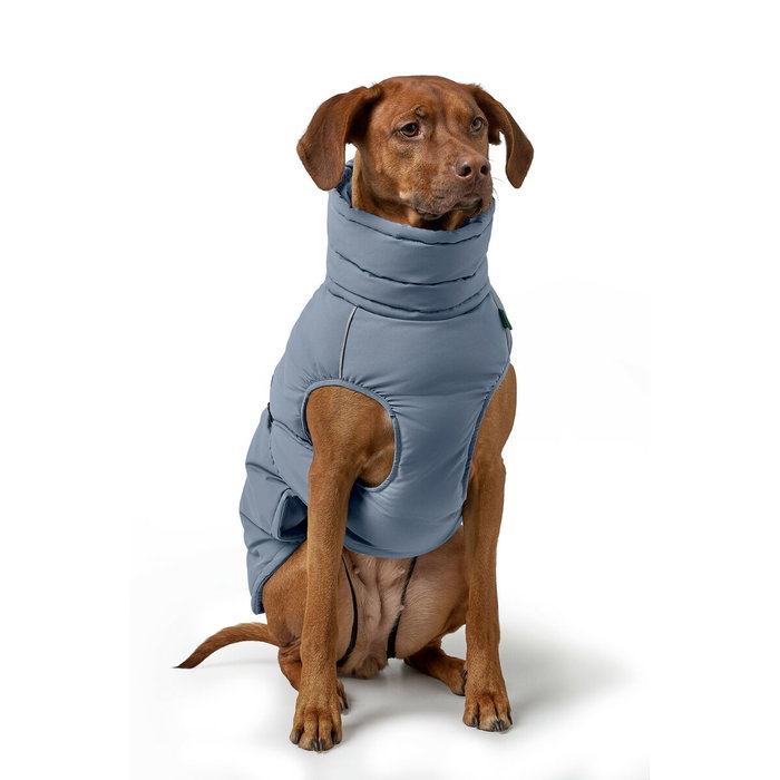 Hunter Abrigo para Perros Paxson Impermeable y Acolchado con Ribetes Reflectantes, Ajustable, Talla 30 cm, Azul