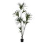 Ixia Planta Dracaena Verde Goma 220 cm