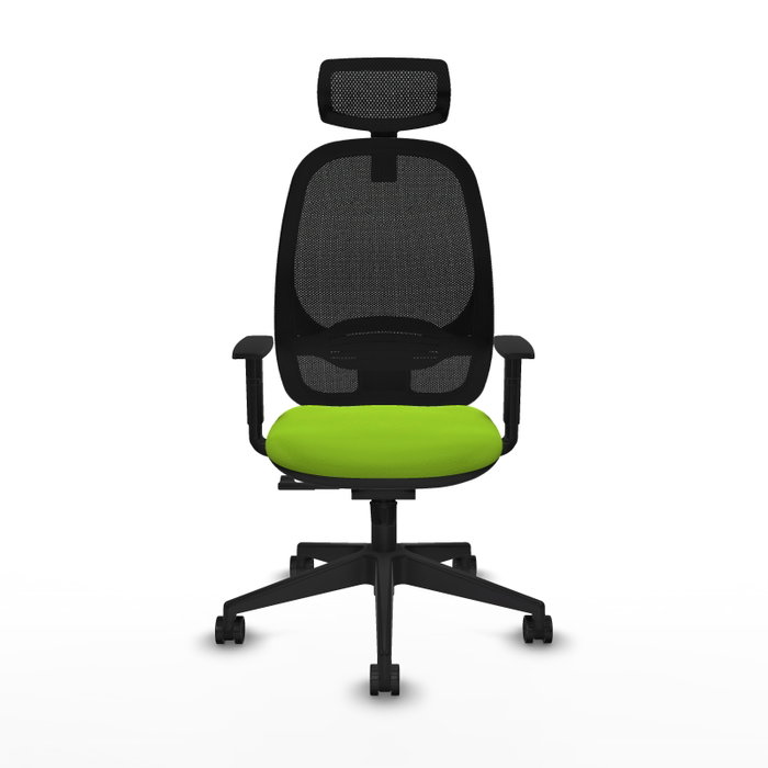 PIQUERAS Y CRESPO Silla de oficina Cilanco con mecanismo Sincro, Pistacho y Negro PIQUERAS Y CRESPO Silla de oficina Cilanco con mecanismo Sincro, Pistacho y Negro