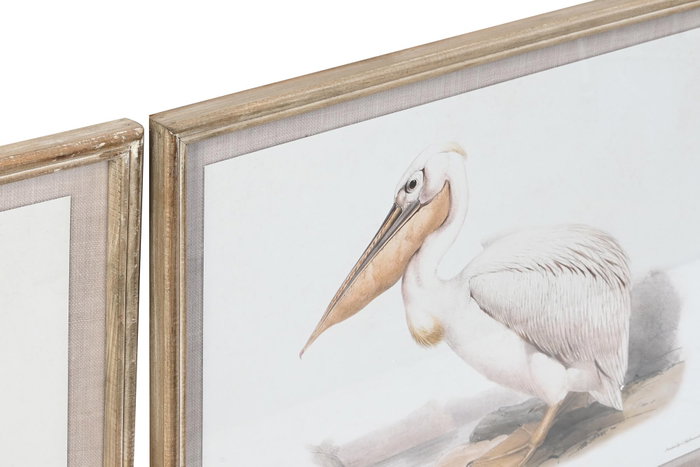 DKD Home Decor Cuadro de Cristal y Abeto Aves Surtido de 6 Unidades