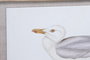 DKD Home Decor Cuadro de Cristal y Abeto Aves Surtido de 6 Unidades
