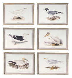 DKD Home Decor Cuadro de Cristal y Abeto Aves Surtido de 6 Unidades