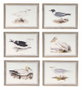 DKD Home Decor Cuadro de Cristal y Abeto Aves Surtido de 6 Unidades