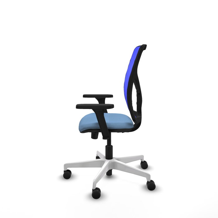 PIQUERAS Y CRESPO Silla de oficina Motilla con mecanismo Sincro/Traslack, Azul cielo y Azul PIQUERAS Y CRESPO Silla de oficina Motilla con mecanismo Sincro/Traslack, Azul cielo y Azul