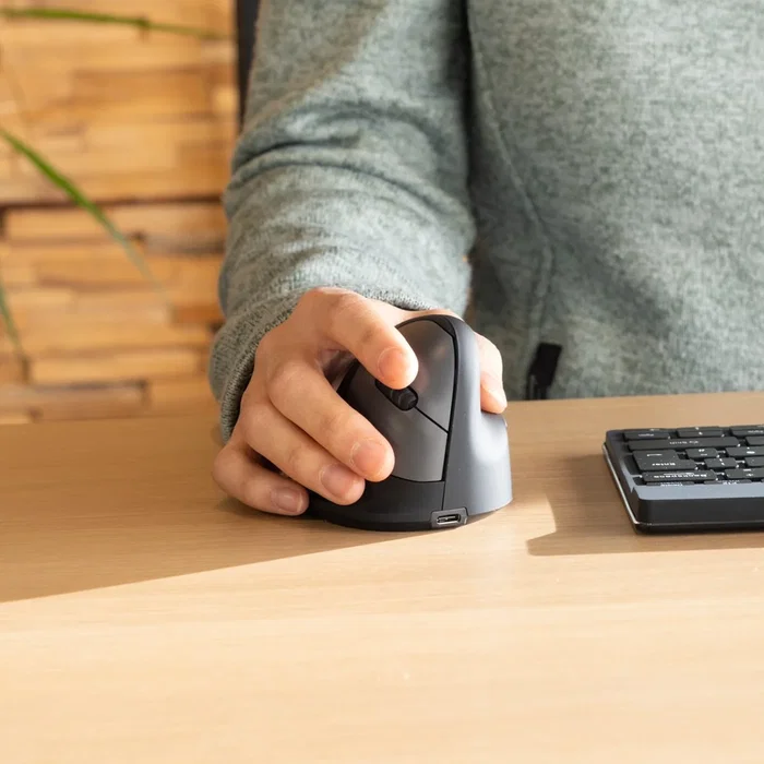R-Go Tools R-Go HE Mouse Ergonómico Vertical Grande Negro R-Go Tools R-Go HE Mouse Ergonómico Vertical Grande Negro