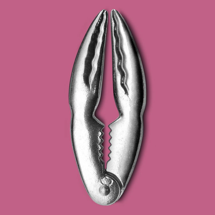 Cook Concept Pinzas Crustáceos Table En Fête Acero Inoxidable