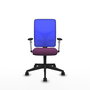 PIQUERAS Y CRESPO Silla de oficina Motilla con mecanismo Sincro, Morado y Azul