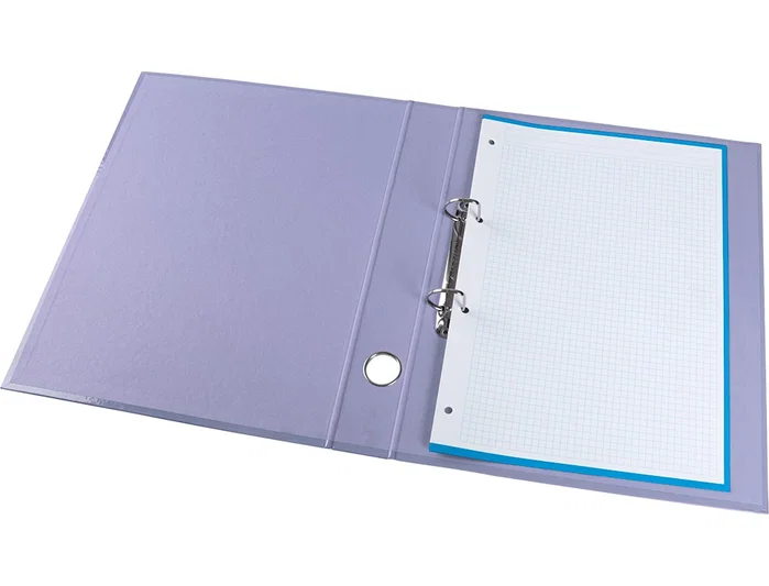 Liderpapel Carpeta de 2 anillas 25 mm Color System Lavanda A4