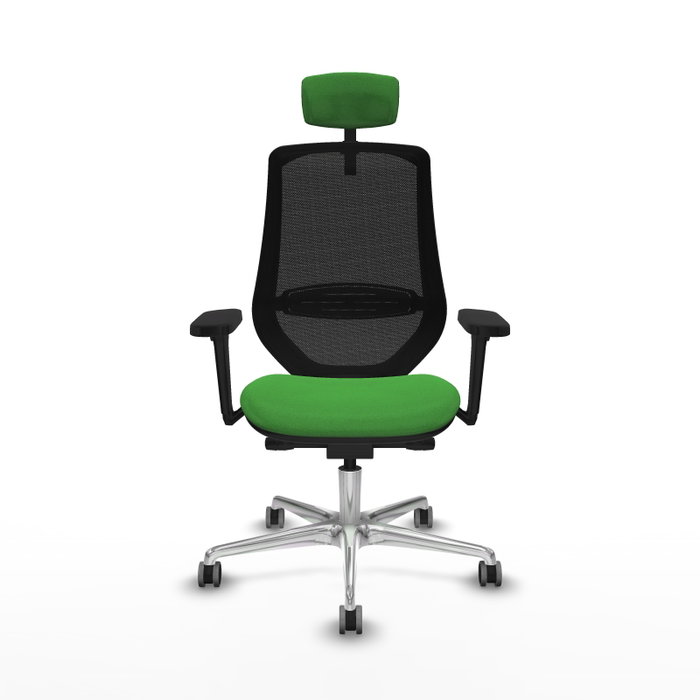 PIQUERAS Y CRESPO Silla de oficina Mardos con mecanismo Sincro/Traslack, brazos 3D, tela verde y malla negra PIQUERAS Y CRESPO Silla de oficina Mardos con mecanismo Sincro/Traslack, brazos 3D, tela verde y malla negra