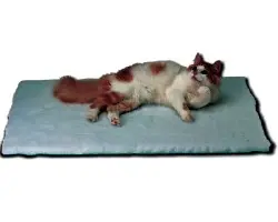 Kruuse Vet Bed Cama Gris 137 x 76 cm para Perros y Gatos Ideal Post-Cirugía Mantiene Temperatura Corporal