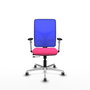 PIQUERAS Y CRESPO Silla de oficina Motilla con mecanismo Sincro/Traslack Rosa y Azul