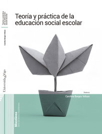 UNIVERSIDADE DE VIGO, TEORIA Y PRACTICA DE LA EDUCACION SOCIAL - AA.VV