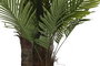 DKD Home Decor Árbol de Palmeras Verde 100x100x250 cm