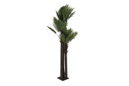 DKD Home Decor Árbol de Palmeras Verde 100x100x250 cm