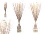 Giftdecor Ramillete Cuadrado Blanco 14 cm x 100 cm x 10 cm Materia Vegetal Seca (Set de 4)