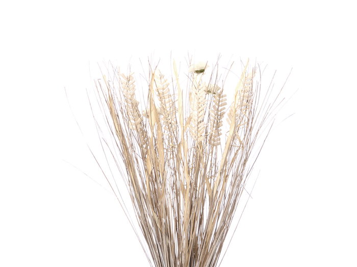 Giftdecor Ramillete Cuadrado Blanco 14 cm x 100 cm x 10 cm Materia Vegetal Seca (Set de 4)