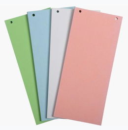 Exacompta Separadores Cartulina Reciclada 105x240 mm Paquete 100 Fichas Colores Surtidos
