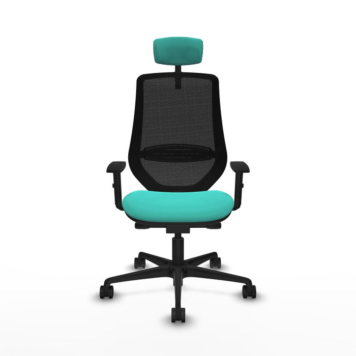 PIQUERAS Y CRESPO Silla de oficina Mardos con mecanismo Sincro/Traslack Turquesa y Negro PIQUERAS Y CRESPO Silla de oficina Mardos con mecanismo Sincro/Traslack Turquesa y Negro