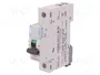 LEGRAND Interruptor magnetotérmico S300 TX 63A 1 Polo Característica C