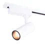 Lumiastra Foco de Carril LED 20W 2000Lm CRI85 2700K o 4200K IP25 30000H LUM-ATB060012-W-WW para Tiendas, Exposiciones