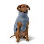 Hunter Abrigo Acolchado Impermeable para Perros Paxson Reflectante y Ajustable, Talla 50 cm, Azul