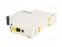 SCHNEIDER ELECTRIC iC60H ACTI9 10A 1P Curva C