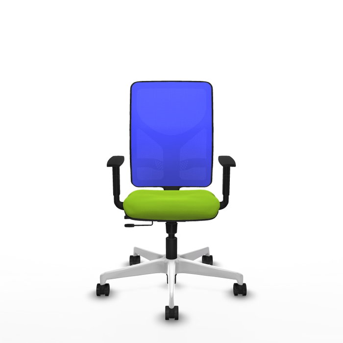PIQUERAS Y CRESPO Silla de oficina Motilla con mecanismo Sincro/Traslack, Azul y Pistacho PIQUERAS Y CRESPO Silla de oficina Motilla con mecanismo Sincro/Traslack, Azul y Pistacho