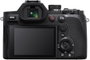 Sony DSC-RX10 V Black