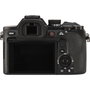 Sony DSC-RX10 V