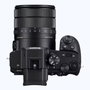 Sony DSC-RX10 V
