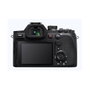 Sony DSC-RX10 V Black