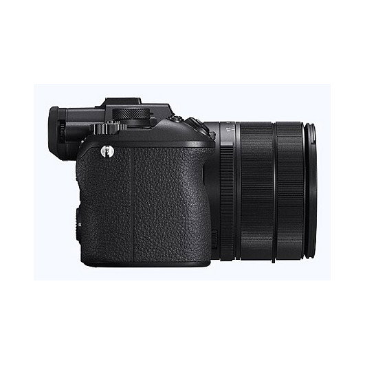 Sony DSC-RX10 V Black