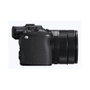 Sony DSC-RX10 V Black