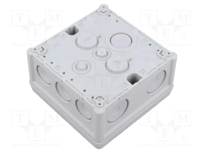 Günther Spelsberg GmbH+Co.KG Abox 040-4 con protección IP66