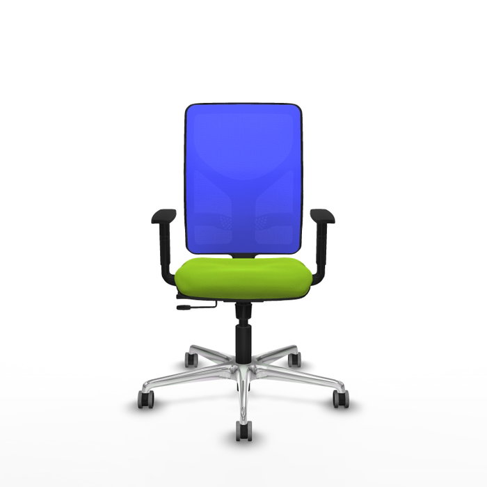 PIQUERAS Y CRESPO Silla de oficina Motilla con mecanismo Sincro/Traslack, Pistacho y Azul