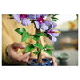 LEGO Botanicals Hibisco 10372