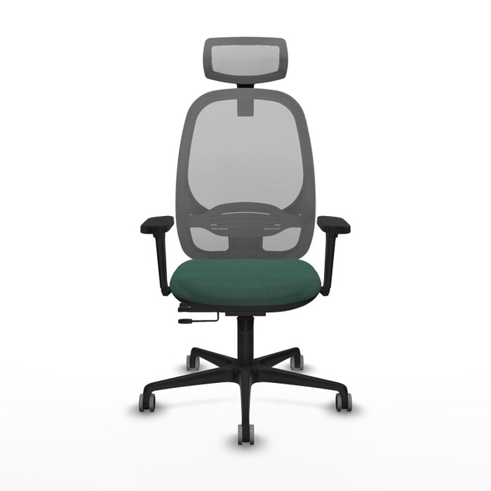 PIQUERAS Y CRESPO Silla de oficina Cilanco con mecanismo Sincro/Traslack, Verde botella y Gris PIQUERAS Y CRESPO Silla de oficina Cilanco con mecanismo Sincro/Traslack, Verde botella y Gris