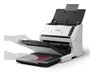 Epson WorkForce DS-530III Escáner alimentado con hojas Blanco